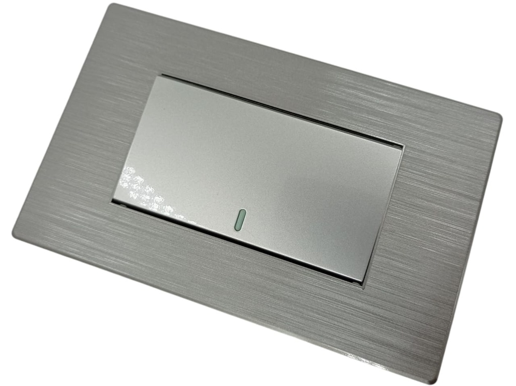 APAGADOR SENCILLO GRIS