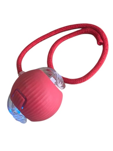 [G0500000061] PELOTA P/GATO RECARGABLE
